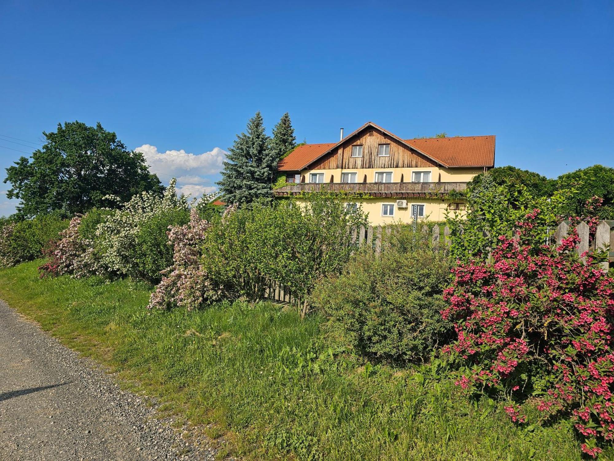Dedesi Zalalövő